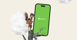 Acorns — product image