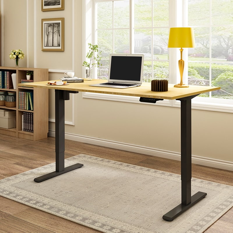 Flexispot E2 Electric Standing Desk