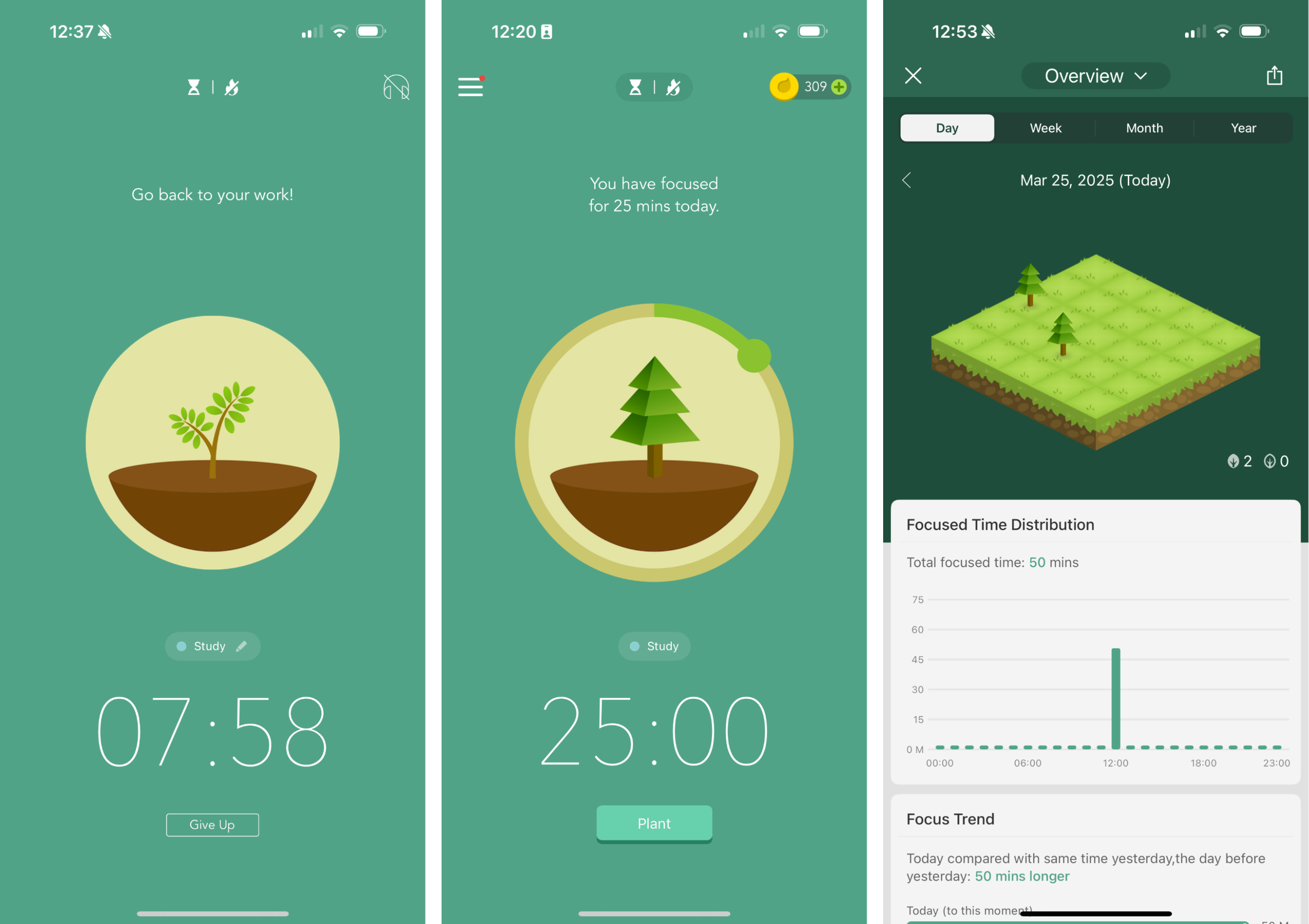 Forest — product image